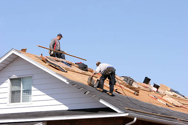 Best Metal Roofing Installation  in Cockrell Hill, TX